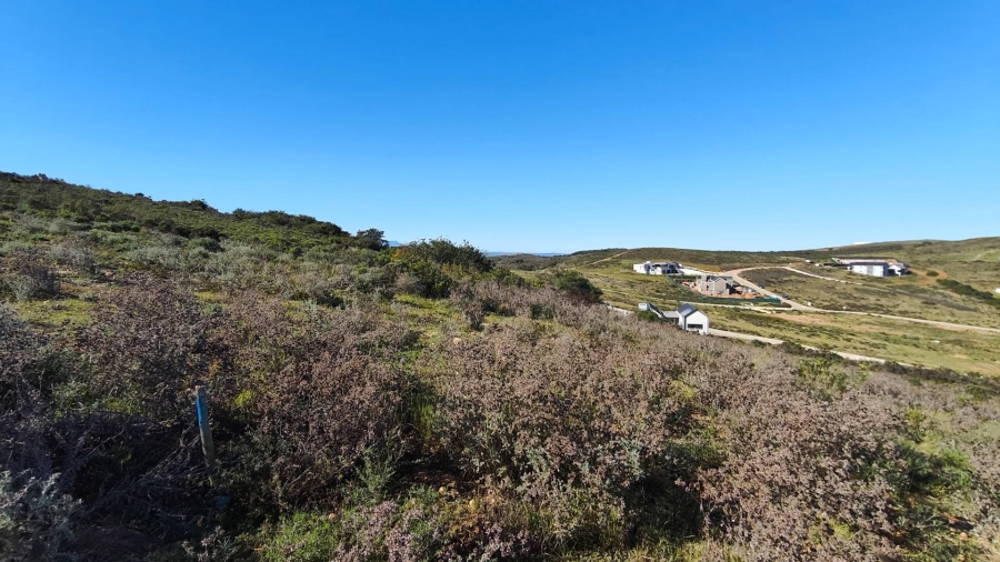 0 Bedroom Property for Sale in Outeniquasbosch Western Cape